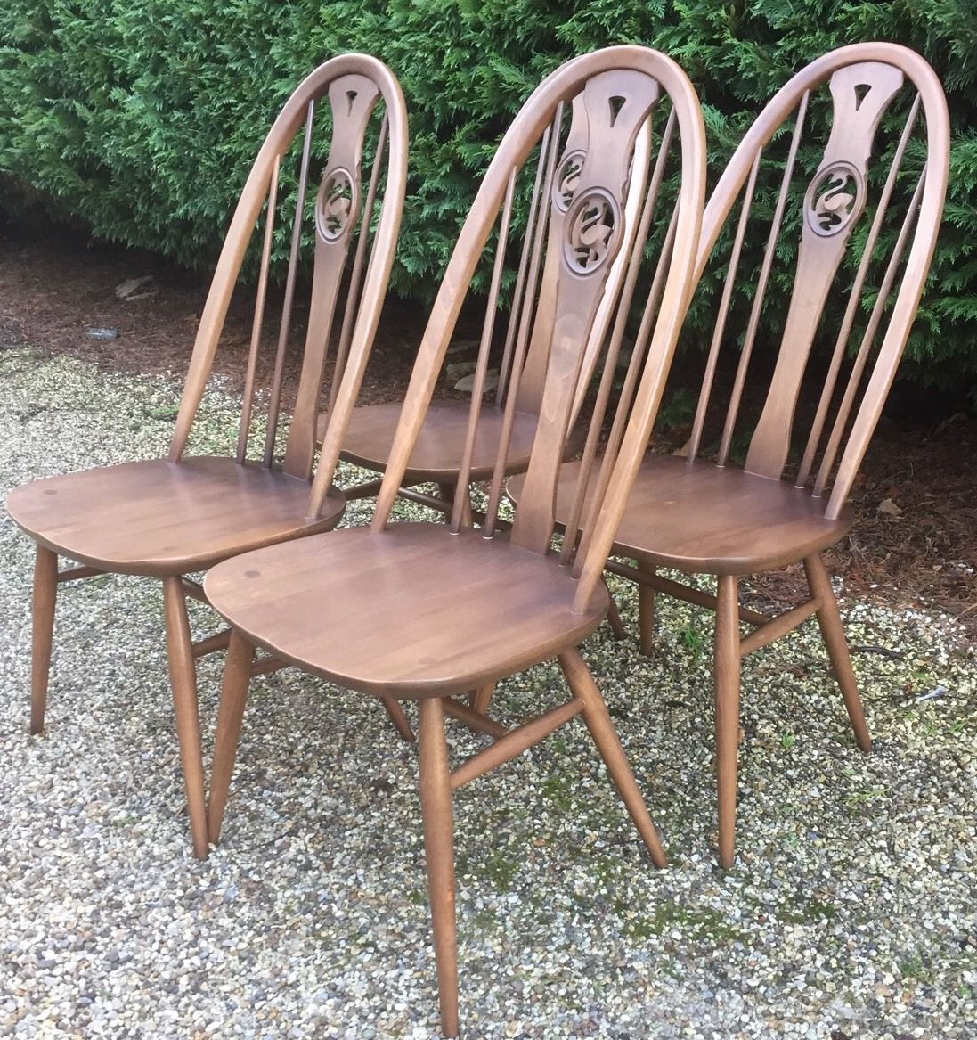 Good Set Of 4 Modern Ercol Quaker Swan Dining Chairs Clean